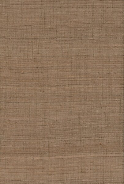 86541, Wild Silk, Arte