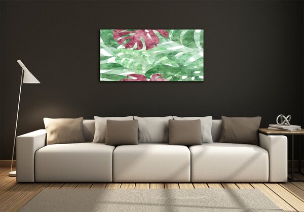 Foto-obraz fotografie na skle Monstera osh-124503126