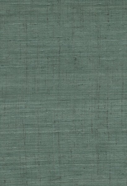 86553, Wild Silk, Arte
