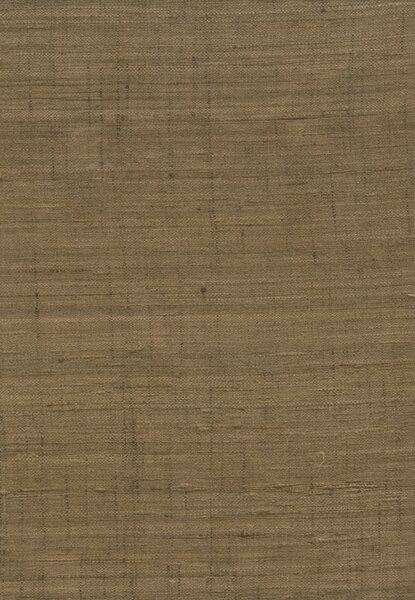 86547, Wild Silk, Arte