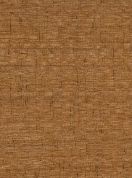 86546, Wild Silk, Arte