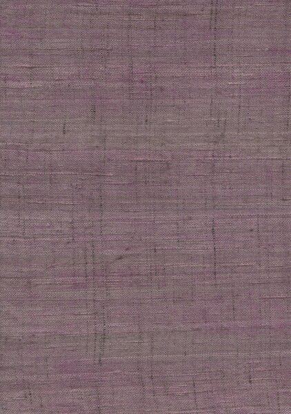 86543, Wild Silk, Arte