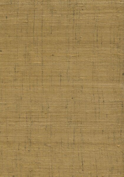 86550, Wild Silk, Arte