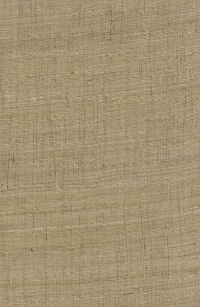 86549, Wild Silk, Arte