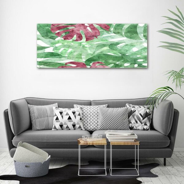 Foto-obraz fotografie na skle Monstera osh-124503126