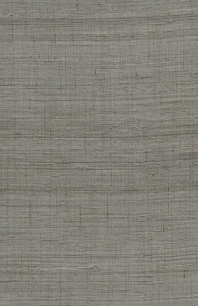 86551, Wild Silk, Arte