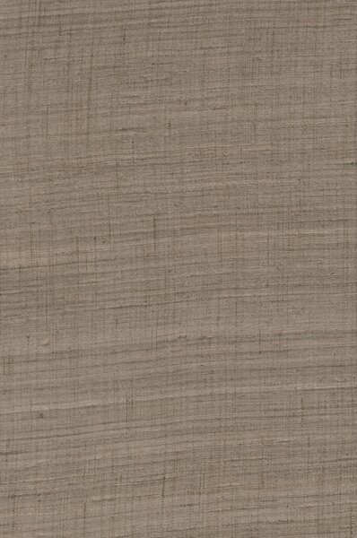 86545, Wild Silk, Arte