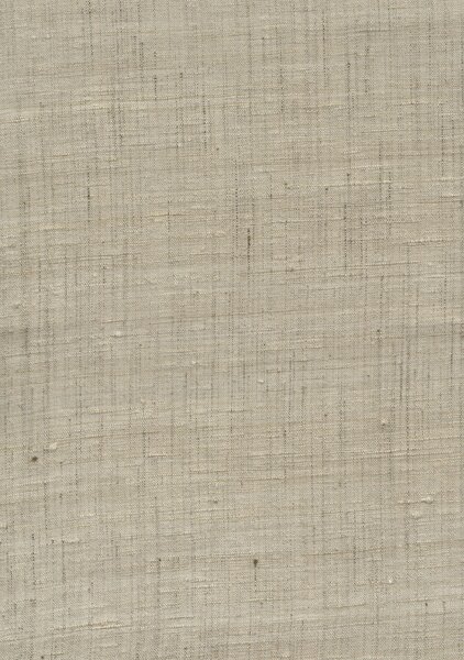 86544, Wild Silk, Arte