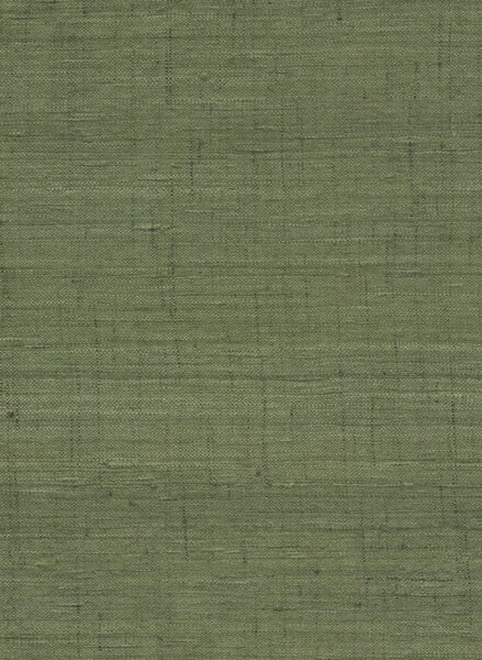 86554, Wild Silk, Arte