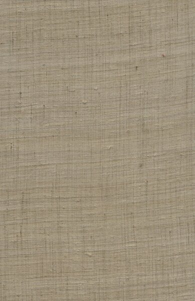 86548, Wild Silk, Arte