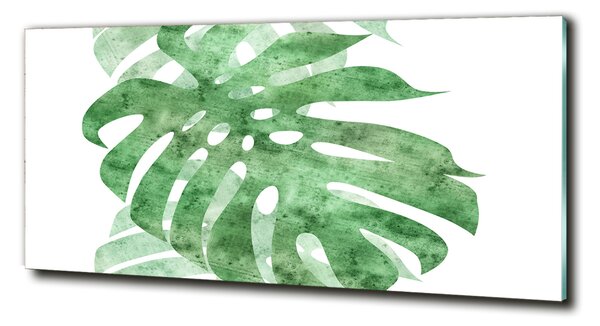 Foto obraz sklo tvrzené Monstera osh-124503131