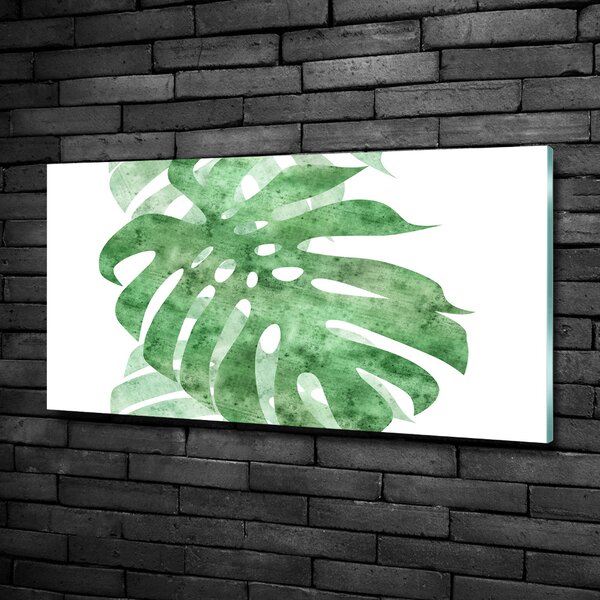 Foto obraz sklo tvrzené Monstera osh-124503131