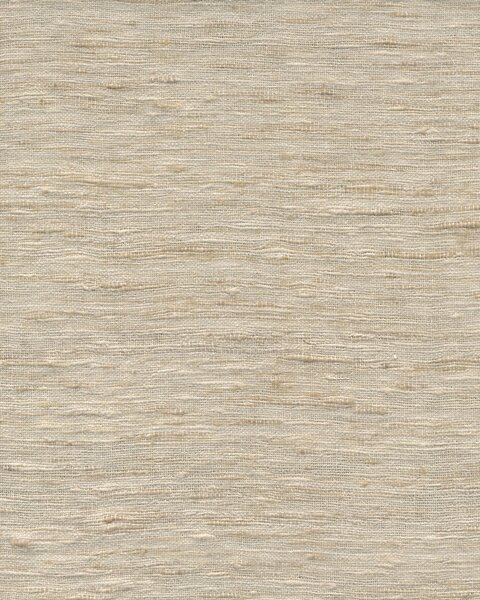 86521, Wild Silk, Arte