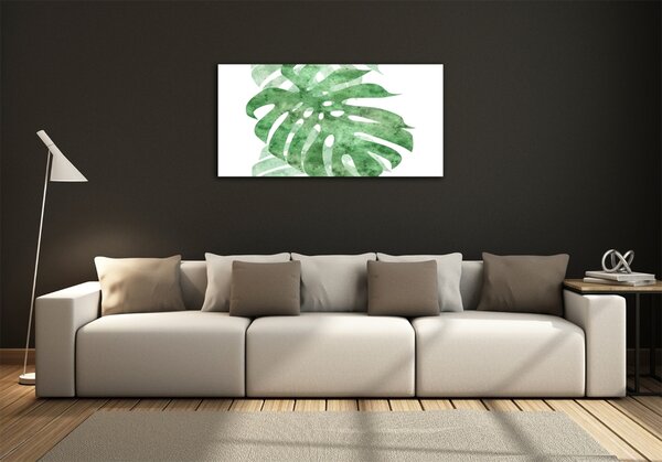 Foto obraz sklo tvrzené Monstera osh-124503131