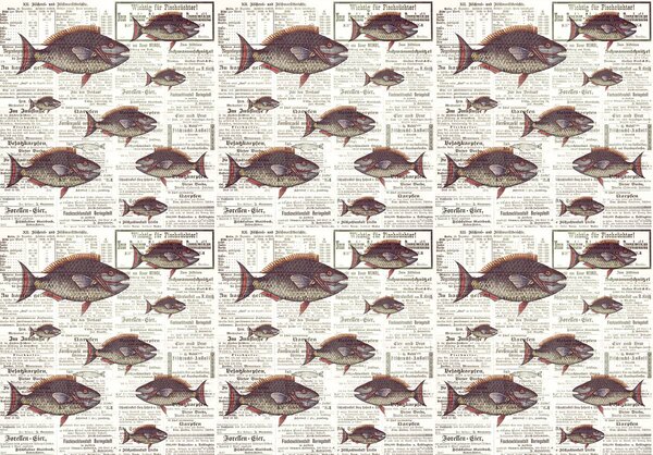 Fototapeta - Piraně ve starých novinách (152,5x104 cm)