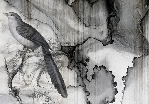Fototapeta - Pták - rozlitý inkoust (152,5x104 cm)