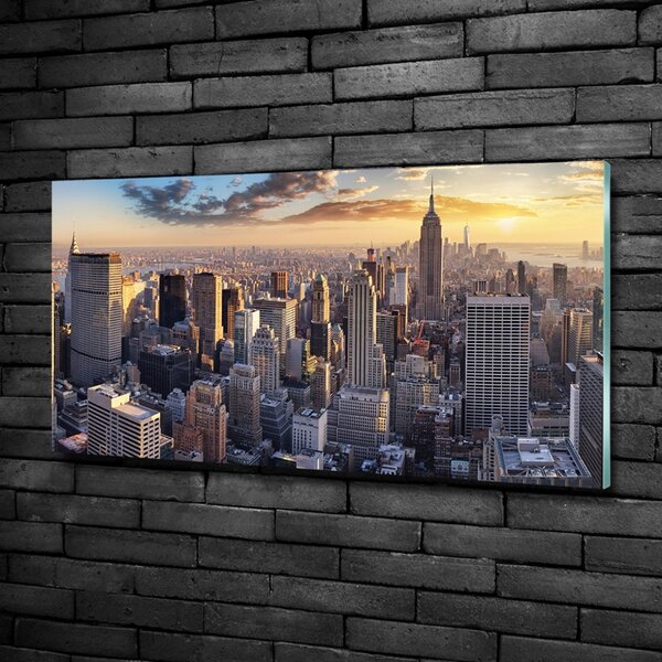 Fotoobraz na skle New York ptačí pohled osh-126216157