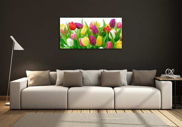 Foto-obraz fotografie na skle Barevné tulipány osh-12652067