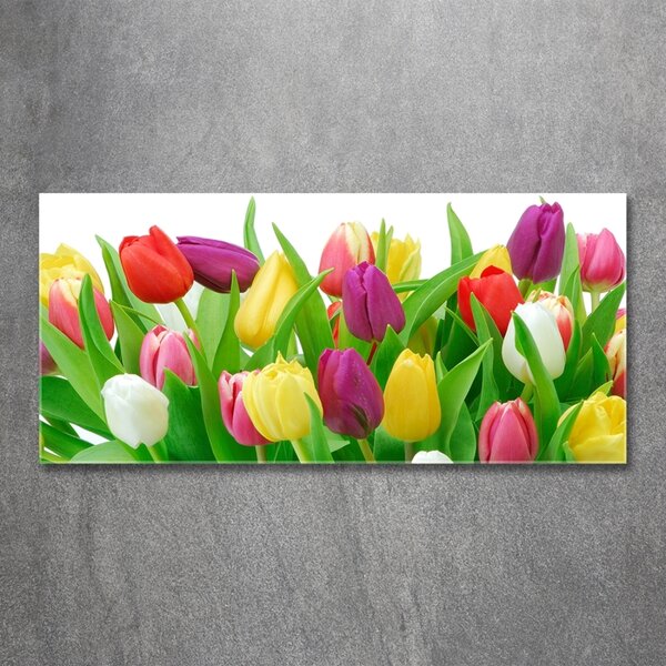 Foto-obraz fotografie na skle Barevné tulipány osh-12652067