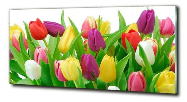Foto-obraz fotografie na skle Barevné tulipány osh-12652067