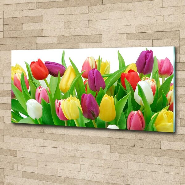 Foto-obraz fotografie na skle Barevné tulipány osh-12652067