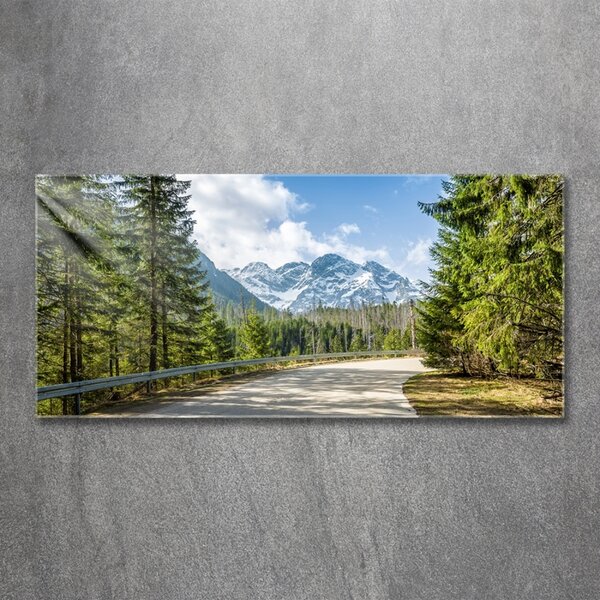 Foto obraz fotografie na skle Cesta Tatry osh-129408685