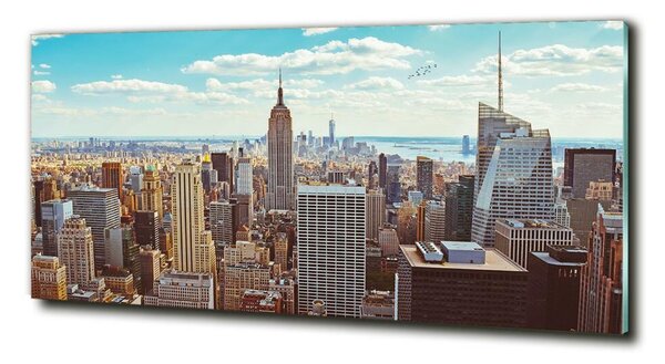Fotoobraz na skle New York ptačí pohled osh-133162590