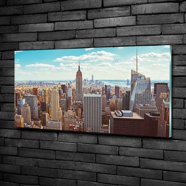 Fotoobraz na skle New York ptačí pohled osh-133162590