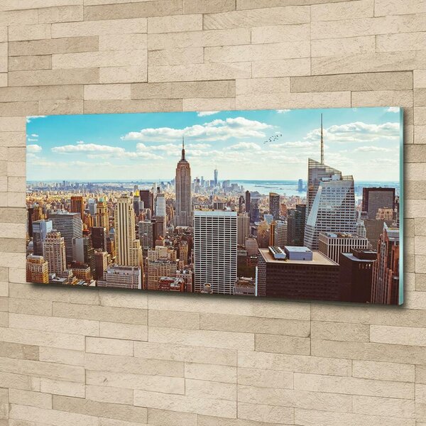 Fotoobraz na skle New York ptačí pohled osh-133162590