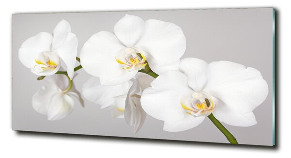 Foto obraz sklo tvrzené Orchidej osh-133396361