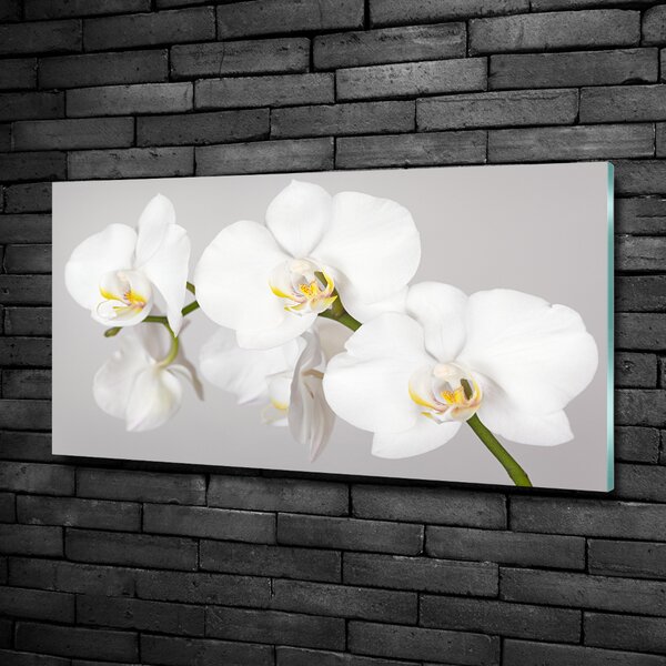 Foto obraz sklo tvrzené Orchidej osh-133396361
