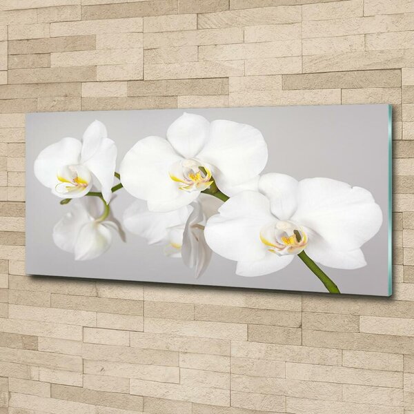 Foto obraz sklo tvrzené Orchidej osh-133396361