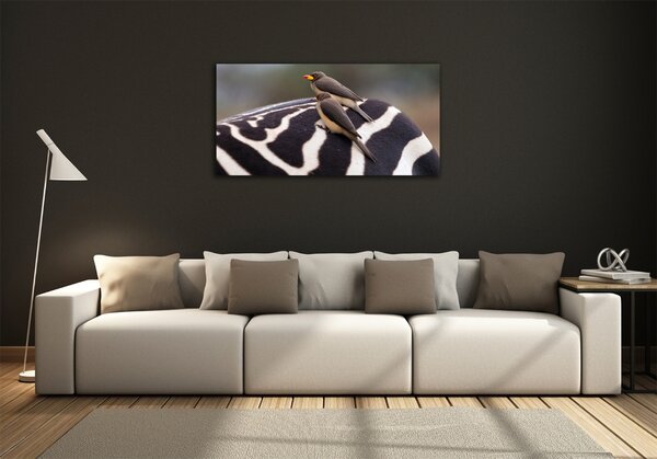 Foto obraz sklo tvrzené Ptáci a zebra osh-133933149