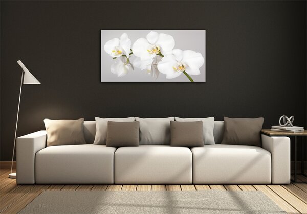 Foto obraz sklo tvrzené Orchidej osh-133396361