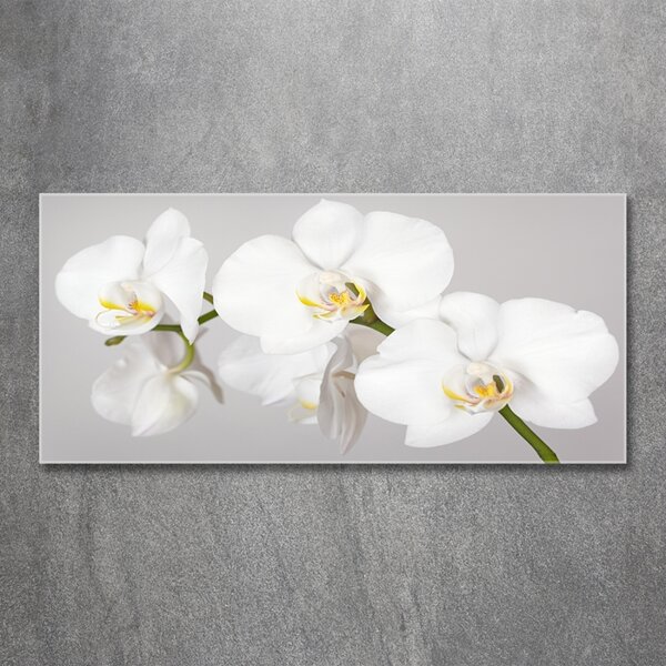 Foto obraz sklo tvrzené Orchidej osh-133396361