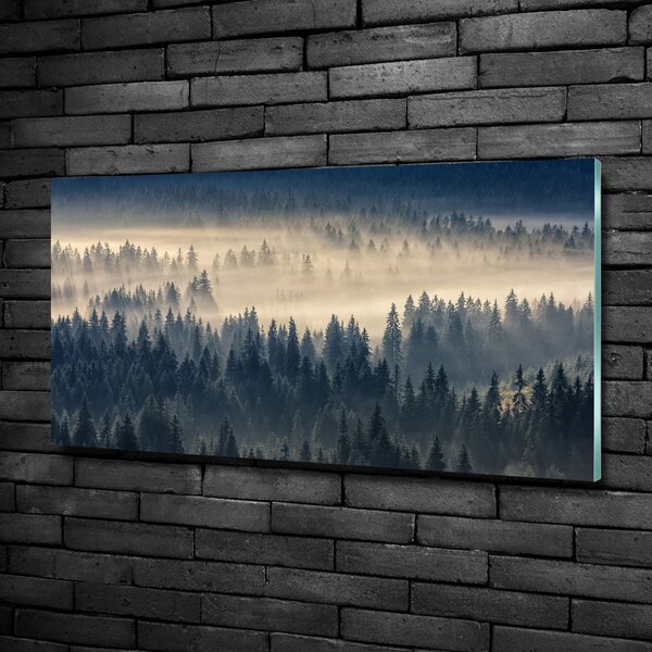 Foto obraz fotografie na skle Mlha nad lesem osh-134224571