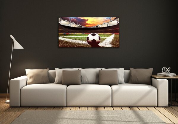 Moderní skleněný obraz z fotografie Míč na stadioně osh-135101268