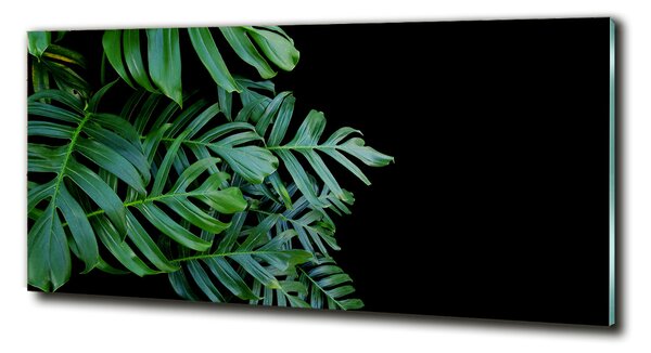 Foto obraz fotografie na skle Monstera osh-136056099