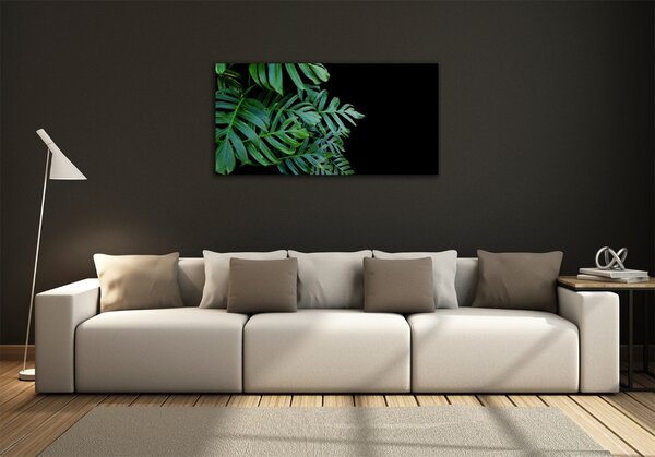 Foto obraz fotografie na skle Monstera osh-136056099