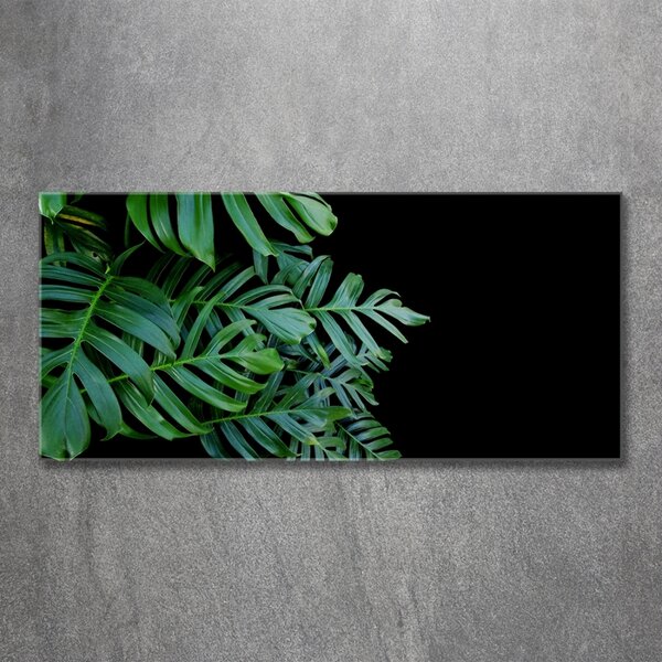 Foto obraz fotografie na skle Monstera osh-136056099