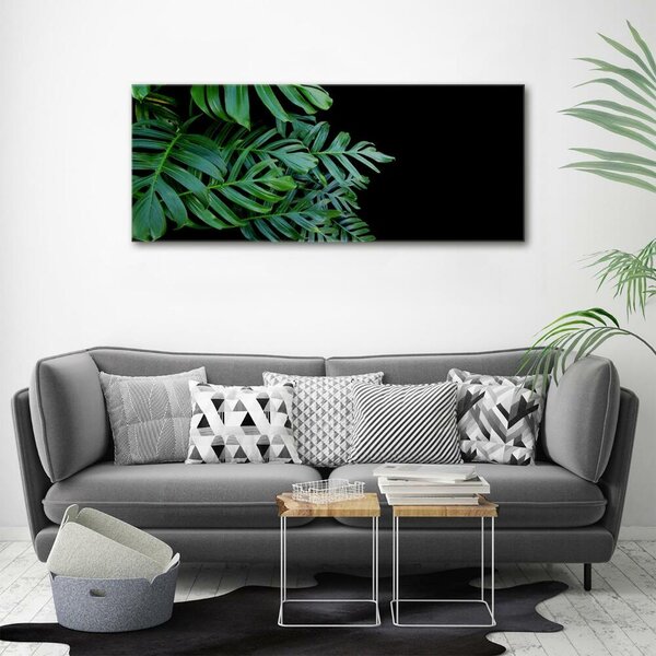 Foto obraz fotografie na skle Monstera osh-136056099