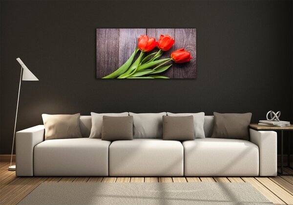 Foto obraz fotografie na skle Červené tulipány osh-137777387