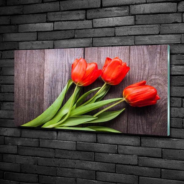 Foto obraz fotografie na skle Červené tulipány osh-137777387