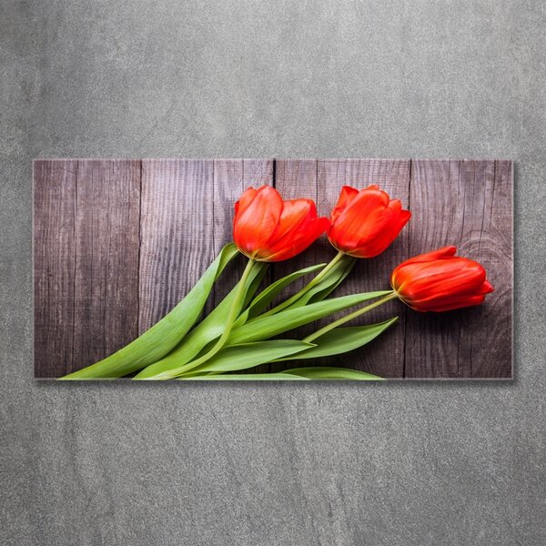 Foto obraz fotografie na skle Červené tulipány osh-137777387