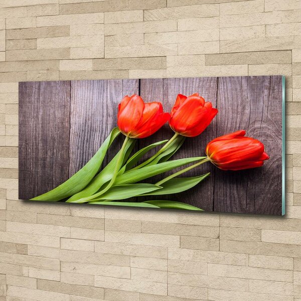 Foto obraz fotografie na skle Červené tulipány osh-137777387