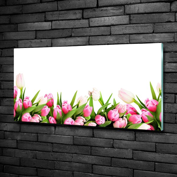 Foto obraz sklo tvrzené Růžové tulipány osh-138798865