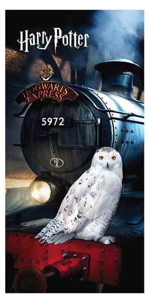 Osuška Harry Potter Sova Hedwiga 70 x 140 cm