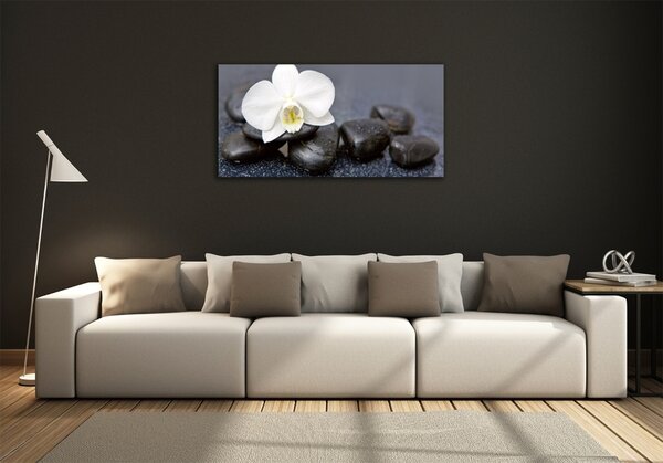 Fotoobraz na skle Orchidej osh-143014442