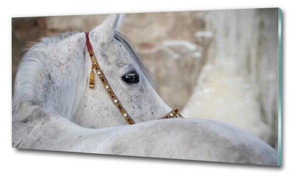 Fotoobraz na skle Bílý arabský kůň osh-143185113