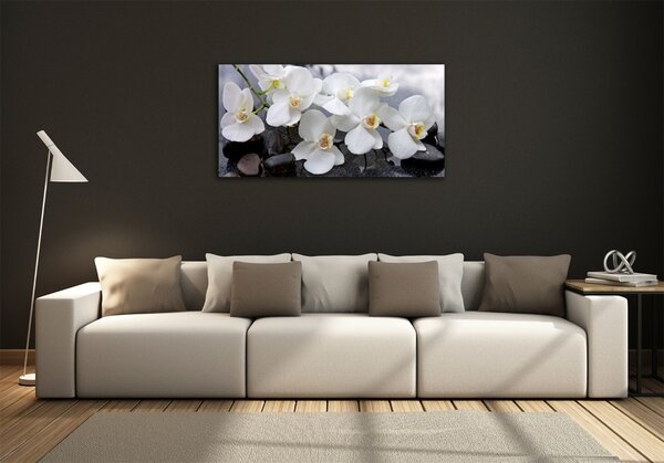 Foto obraz skleněný horizontální Orchidej osh-143985624